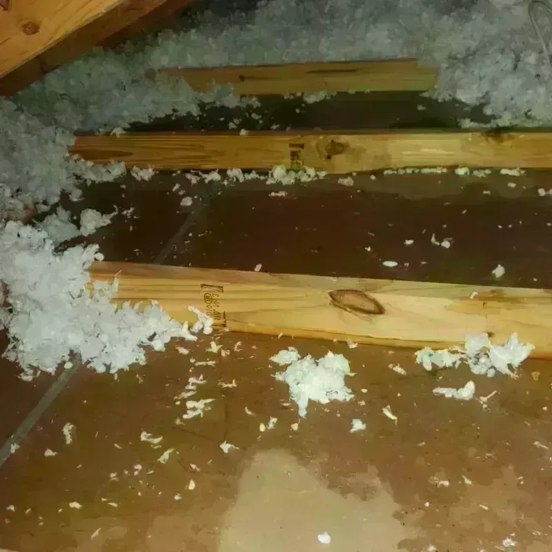 Attic Water Damage in Hansville, WA